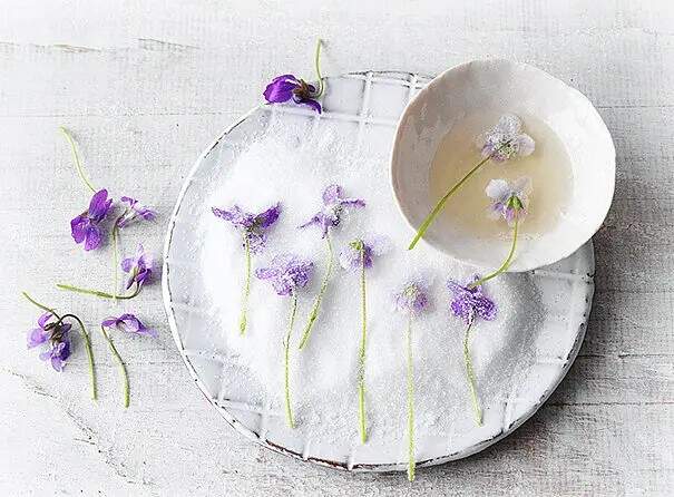 Auf einem weißen Teller liegen mehrere violette Blüten, die mit Kristallzucker bestreut sind, bereit zum Verzieren von Torten. Daneben steht eine kleine Schale mit klarem Sirup, in den ein Stiel der Blüte getaucht wird.