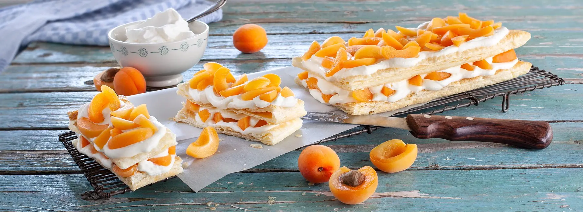 Auf einem längs geformten Teller liegt ein Aprikosen-Kuchen umringt mit den frischen Früchten