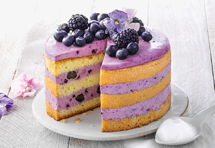 Kleine runde Torte mit heller Creme, bedeckt mit frischen Heidelbeeren und glänzendem Fruchtspiegel.