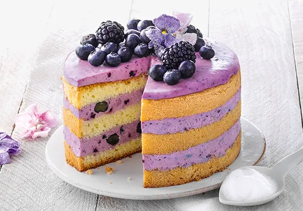Kleine runde Torte mit heller Creme, bedeckt mit frischen Heidelbeeren und glänzendem Fruchtspiegel.