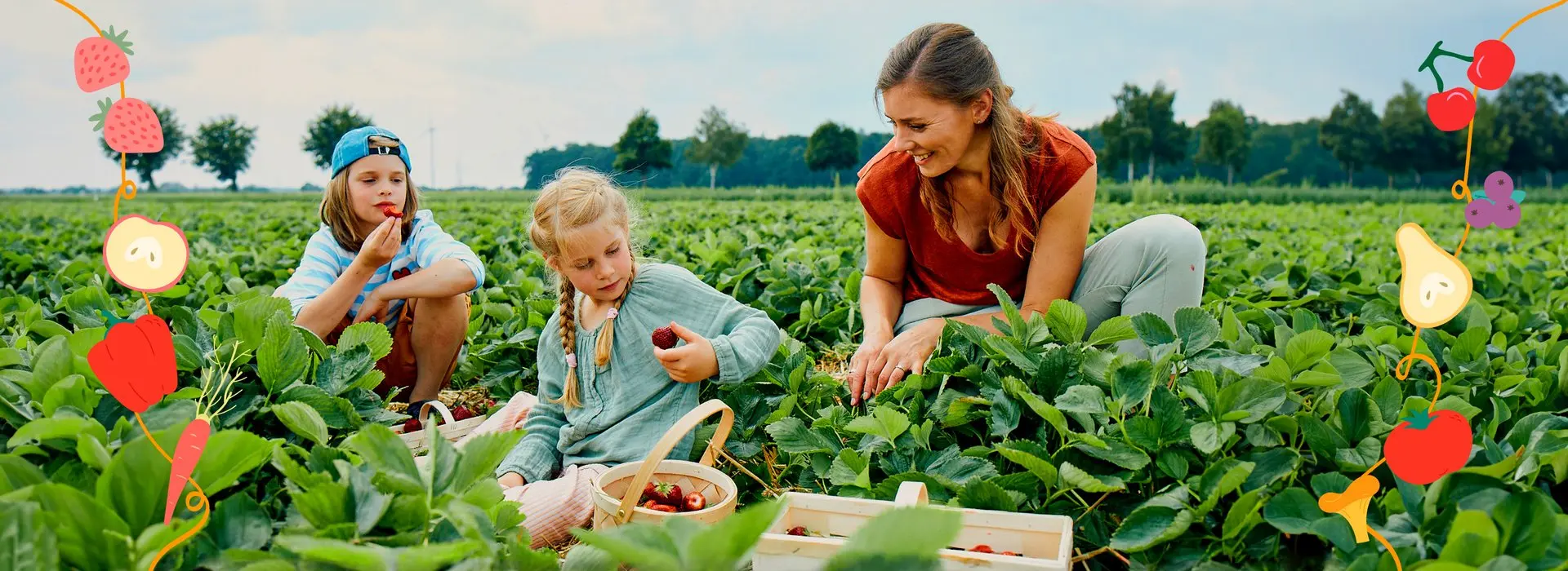 2 Kinder und eine Frau hocken auf dem Feld und pflücken fröhlich Erdbeeren. 