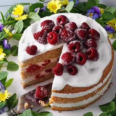 Quark-Torte mit Himbeeren gebacken nach dem Rezept von Sweet Family