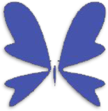 Schmetterling_blau