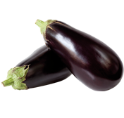 Aubergine