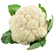 Blumenkohl
