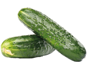 Einlegegurke