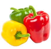 Paprika
