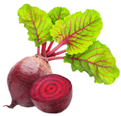 RoteBeete