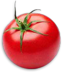 Tomate