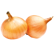 Zwiebel