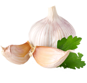 Knoblauch