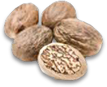 Muskat