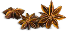 Sternanis