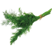Dill