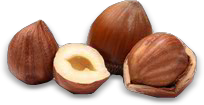 Haselnuss