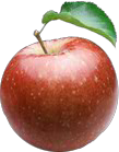 Apfel_rot