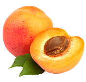 Aprikose