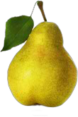 Birne