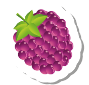 Brombeere_2