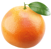 Grapefruit