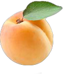 Pfirsich