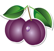 Pflaume_3