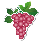Weintraube_2