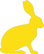 Hase_gelb