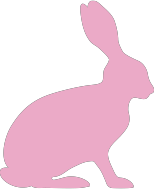 Hase_rosa