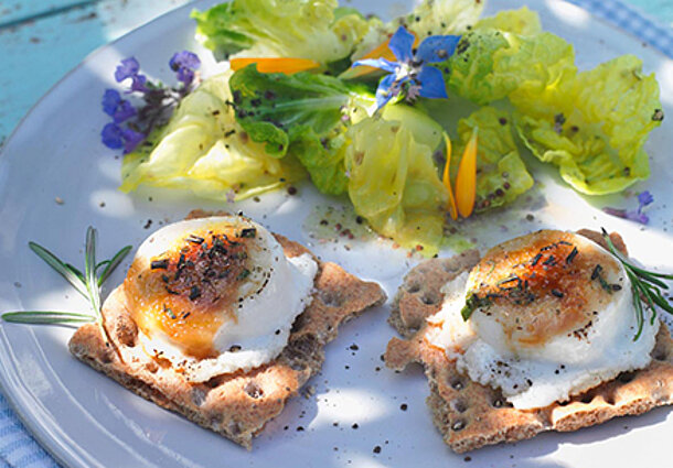 Karamellisierter Ziegenkäse mit Salat (Rezept)