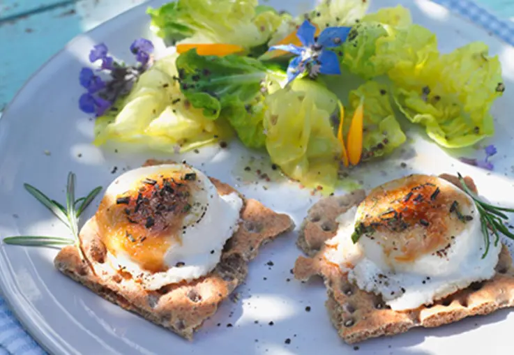 Karamellisierter Ziegenkäse mit Salat (Rezept)