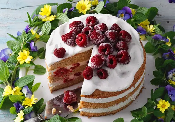 Hohe Quarktorte aus mehreren Dinkel‑Biskuitböden, gefüllt mit weißer Quarkcreme und frischen Himbeeren; oben dekoriert mit vielen Himbeeren