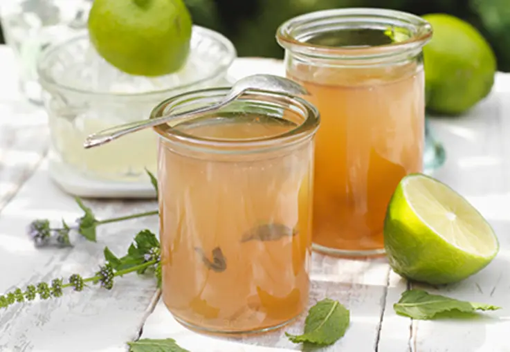 Limetten-Minz-Gelee mit weißem Rum (Rezept)