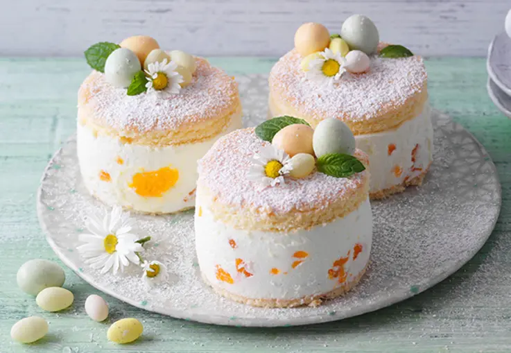 Runde Quarktörtchen mit Biskuitboden und Quark‑Mandarinen‑Creme, mit Puderzucker bestäubt und mit kleinen Zuckereiern und Blüten garniert