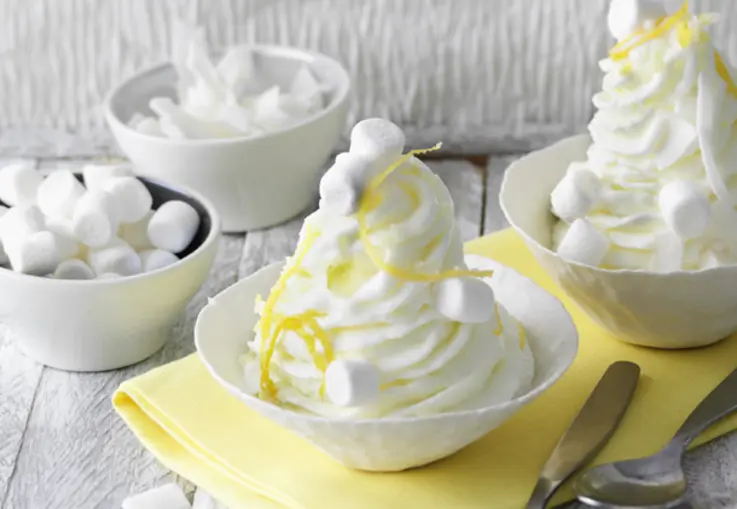 Frozen Joghurt mit Zitrone (Rezept)