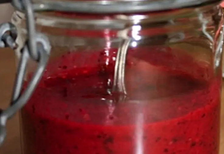 Johannisbeer-Fruchtaufstrich mit Balsamessig (Rezept)