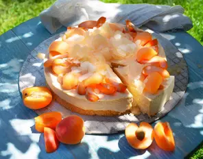 Aprikosen-Eistorte mit Melonenslush