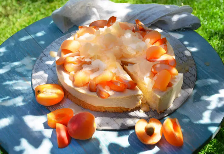 Aprikosen-Eistorte mit Melonenslush