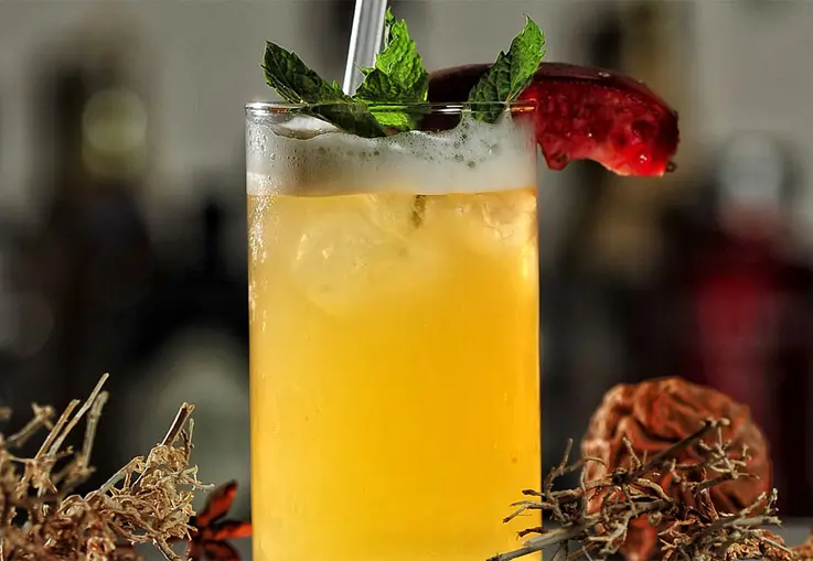 Gin Fizz (Rezept)