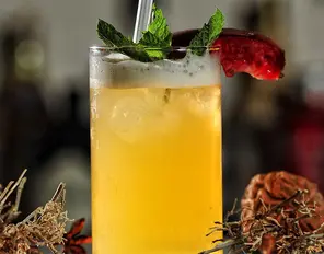 Gin Fizz