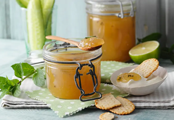 Gurken-Limetten-Aufstrich mit Minze (Rezept)