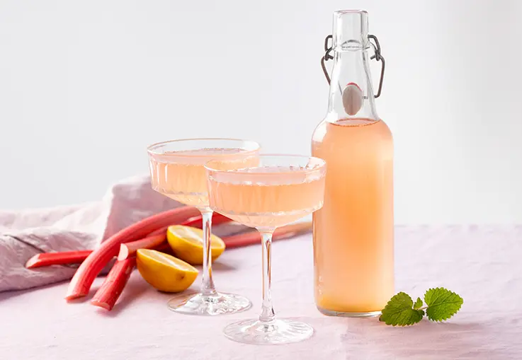 Flaschen mit rosafarbener fermentierter Rhabarberlimonade, dekoriert mit Zitronenscheiben.