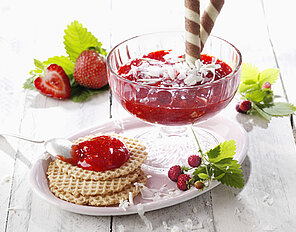 Spaghetti-Eis-Fruchtaufstrich Spaghetti-Eis-Fruchtaufstrich