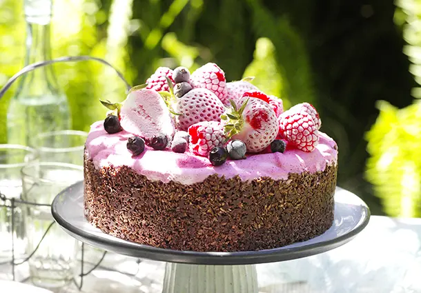 Eistorte mit dunklem Schokoboden und rosa Beerencreme, dekoriert mit frischen Beeren.